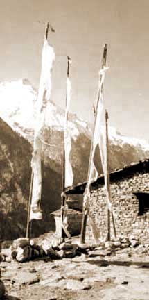 Tibetan New Year's flags